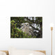 Family Great Horned Owls Wall Decal Design 1