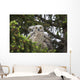 Family Great Horned Owls Wall Decal Design 1