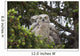Family Great Horned Owls Wall Decal Design 1