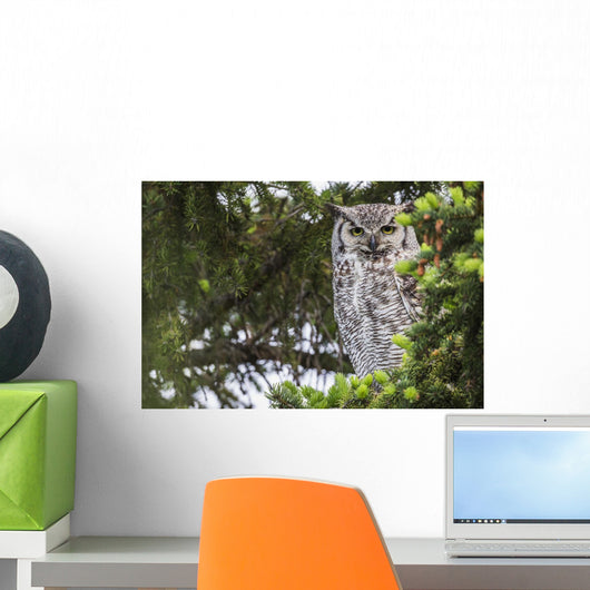 Great Horned Owl Sitting Wall Decal