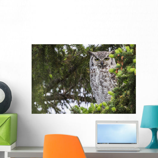 Great Horned Owl Sitting Wall Decal