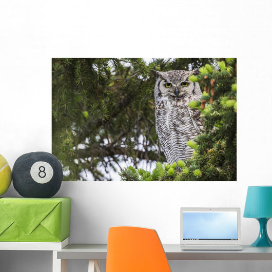 Great Horned Owl Sitting Wall Decal