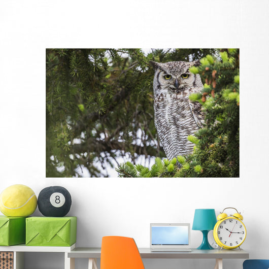 Great Horned Owl Sitting Wall Decal