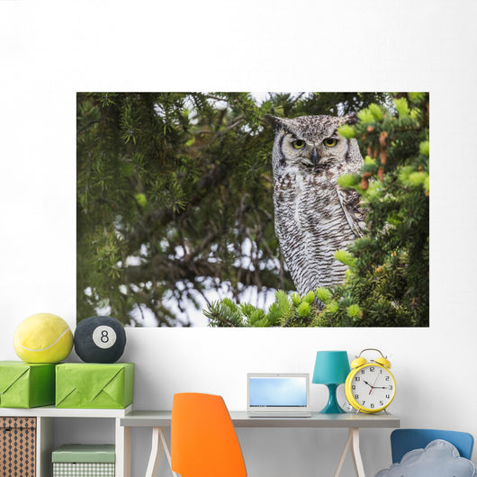Great Horned Owl Sitting Wall Decal