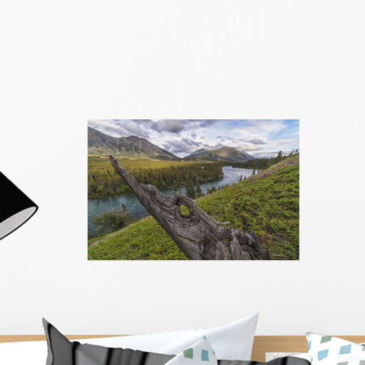 The Takhini River flows through a valley near Kusawa Lake Wall Mural