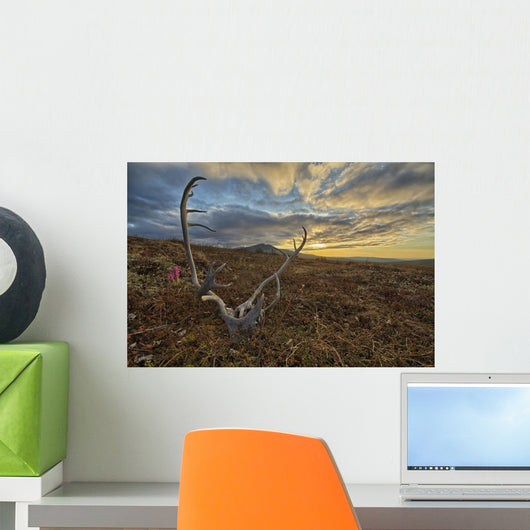 Caribou Antler Lies Silence Wall Decal