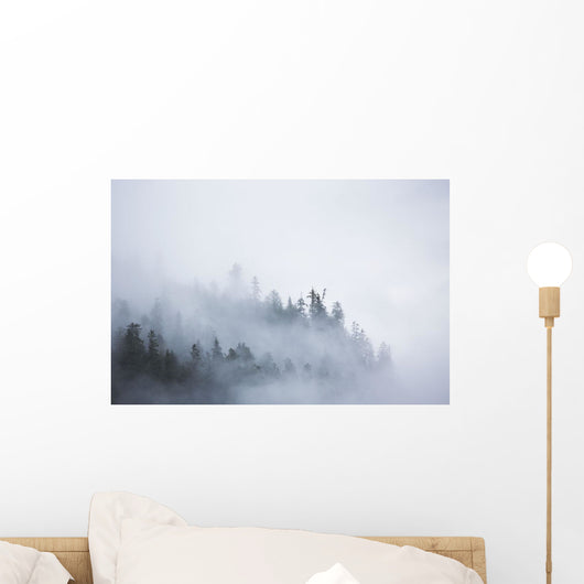 Fog Shrouded Trees Wall Decal