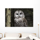 Northern Barred Owl Perched Wall Decal