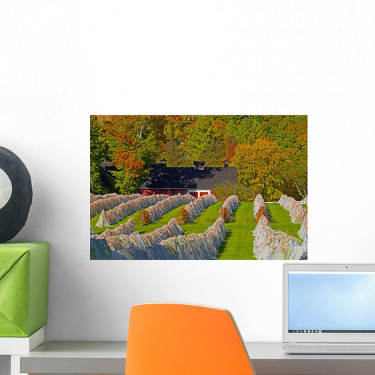 Vineyard Autumn Wall Decal Design 4
