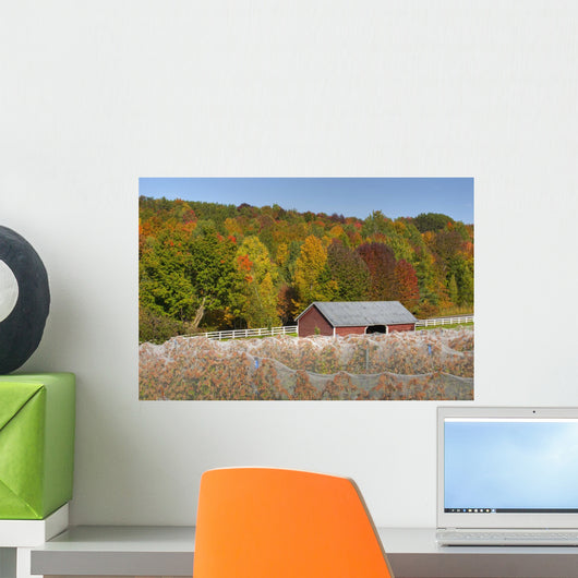Vineyard Autumn Wall Decal Design 2