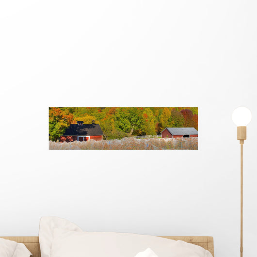 Vineyard Autumn Wall Decal Design 1