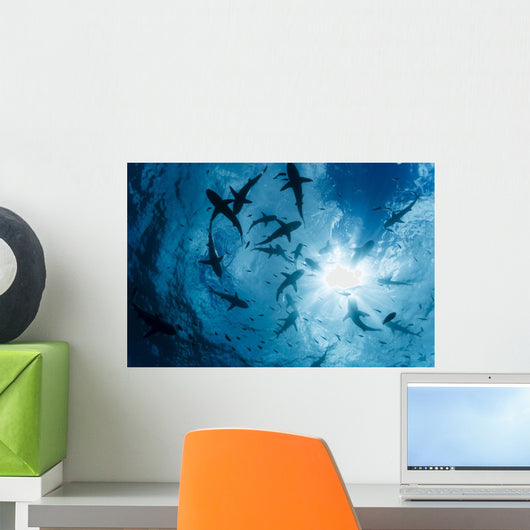 School Grey Reef Sharks Wall Decal
