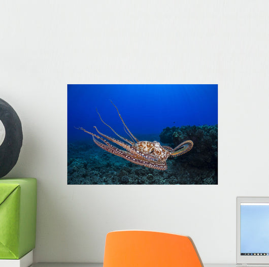 This Shows Eight Armed Wall Decal