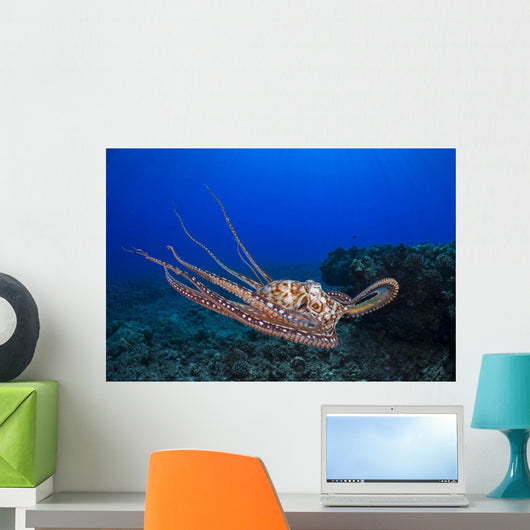 This Shows Eight Armed Wall Decal