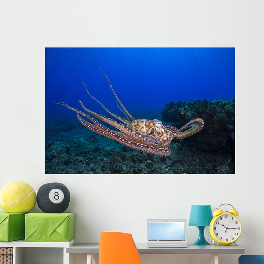 This Shows Eight Armed Wall Decal