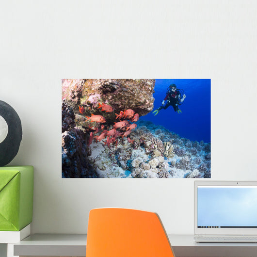 Scuba diver and a school of shoulderbar soldierfish Wall Mural