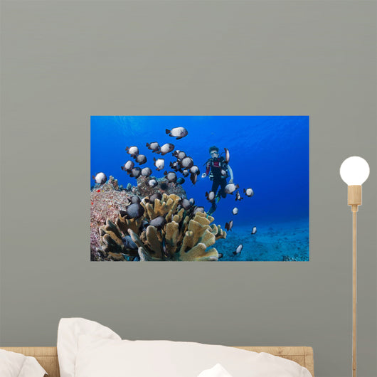 Junior Certified Scuba Diver Wall Decal