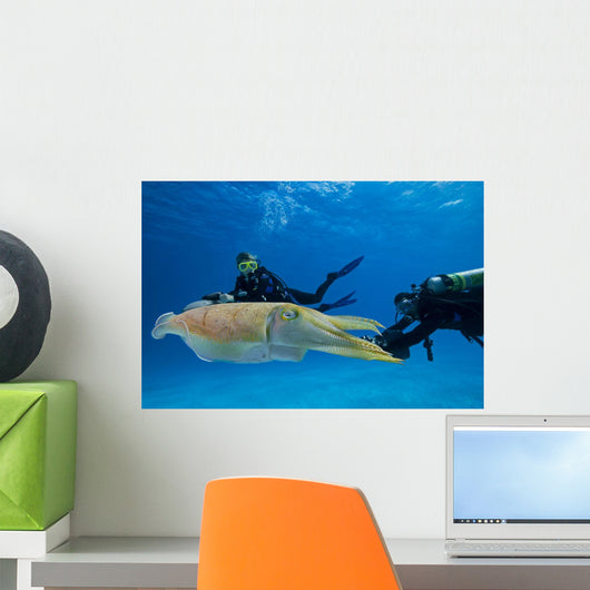 Divers Underwater Scooters and Wall Decal