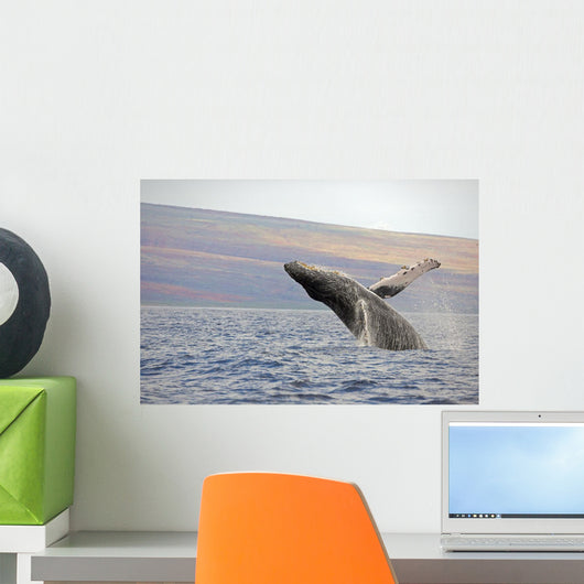 Breaching Humpback Whale Wall Decal Design 2