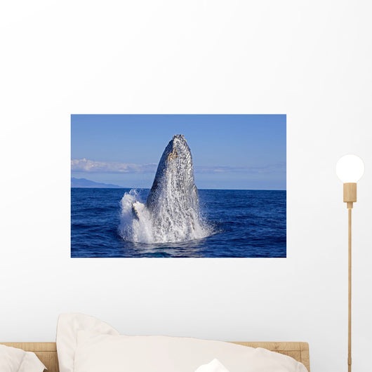 Breaching Humpback Whale Wall Decal Design 1