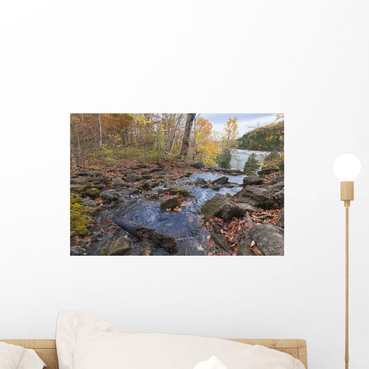 River Autumn Wall Decal