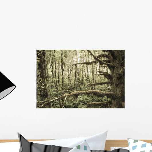 Mossy Tree Trunks Woods Wall Decal