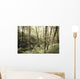 Birch Trees Covered Moss Wall Decal