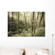 Birch Trees Covered Moss Wall Decal