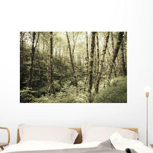 Birch Trees Covered Moss Wall Decal