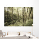 Birch Trees Covered Moss Wall Decal