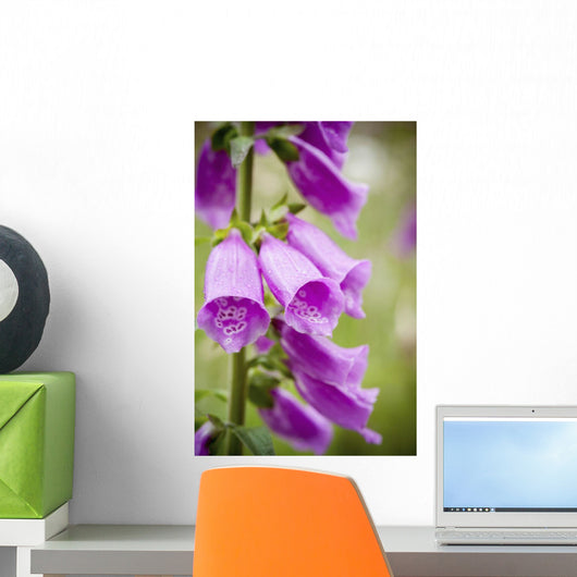 Purple Flowers with Water Wall Decal