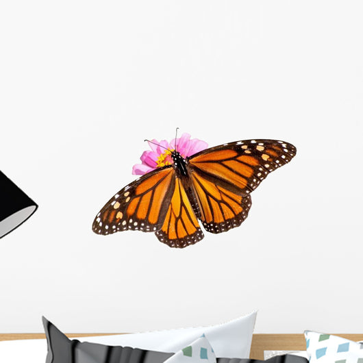 Female Monarch Butterfly Zinnia Wall Decal