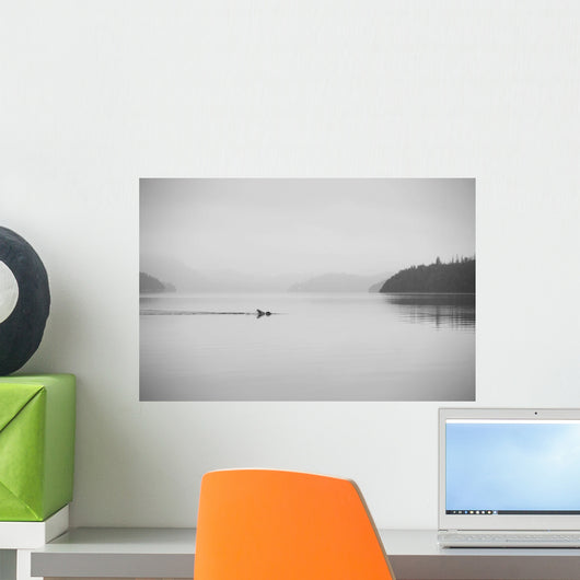 Lone Swimmer Swims across Wall Decal