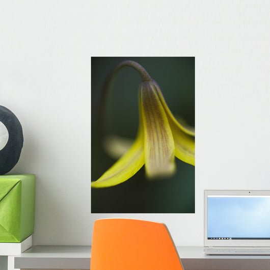 Macro Detail Small Yellow Wall Decal