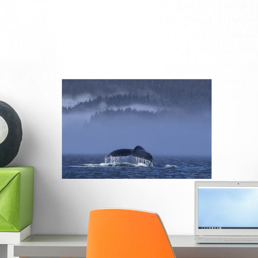 Humpback Whale Lifts Its Wall Decal Design 1