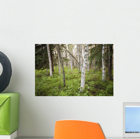 Scenic Trees and Forest Wall Decal