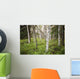 Scenic Trees and Forest Wall Decal