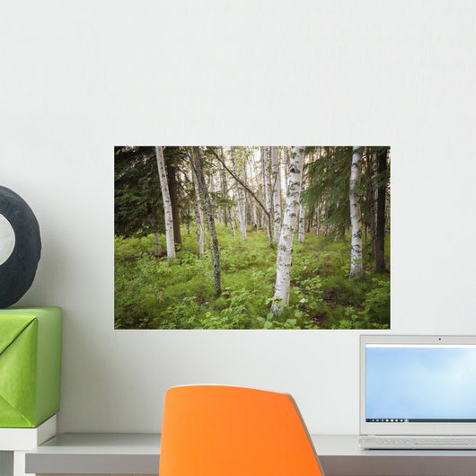 Scenic Trees and Forest Wall Decal