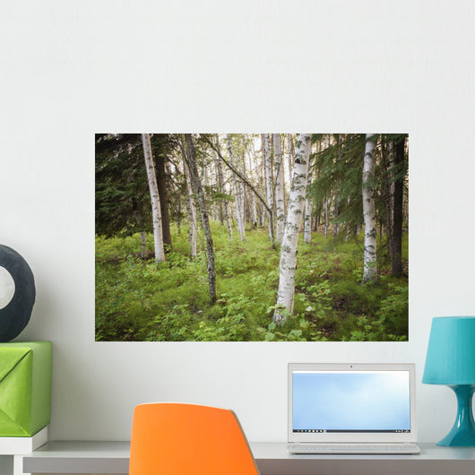 Scenic Trees and Forest Wall Decal