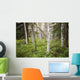 Scenic Trees and Forest Wall Decal