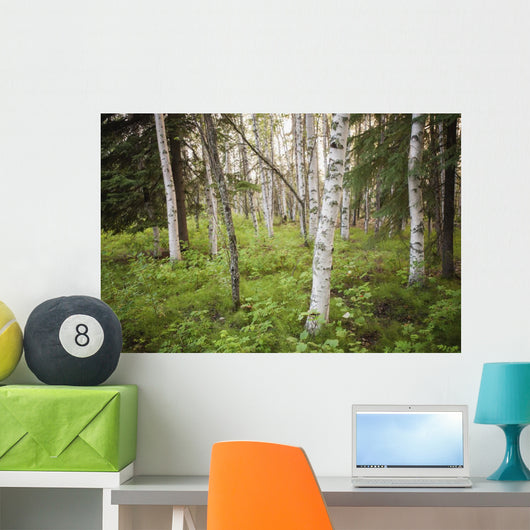 Scenic Trees and Forest Wall Decal