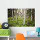 Scenic Trees and Forest Wall Decal
