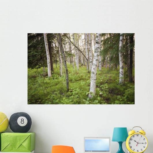 Scenic Trees and Forest Wall Decal
