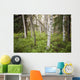 Scenic Trees and Forest Wall Decal