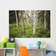 Scenic Trees and Forest Wall Decal