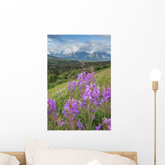 Scenic Landscape near Palmer Wall Decal