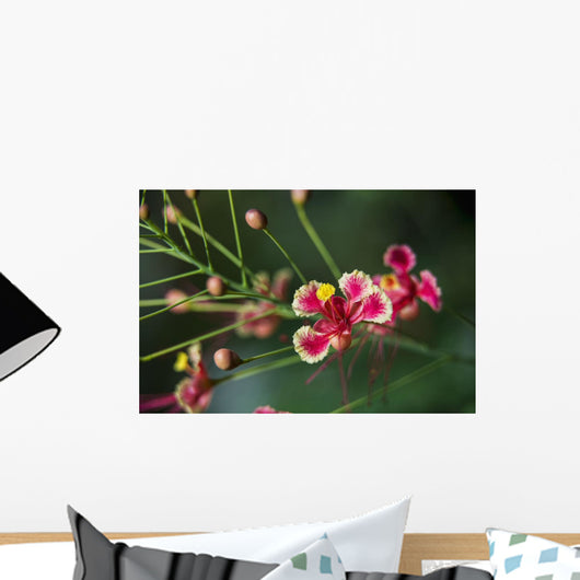 Pride Barbados Wall Decal Design 2