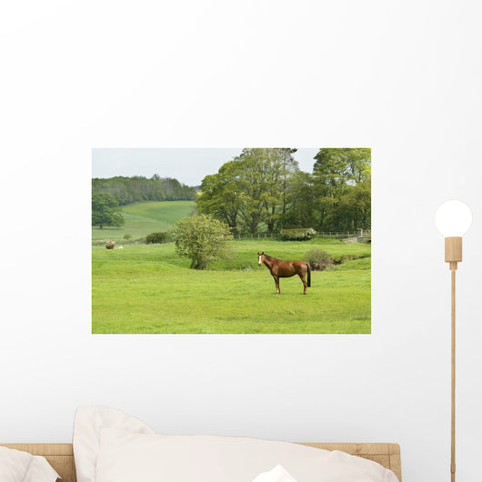 Horse Field Wall Decal