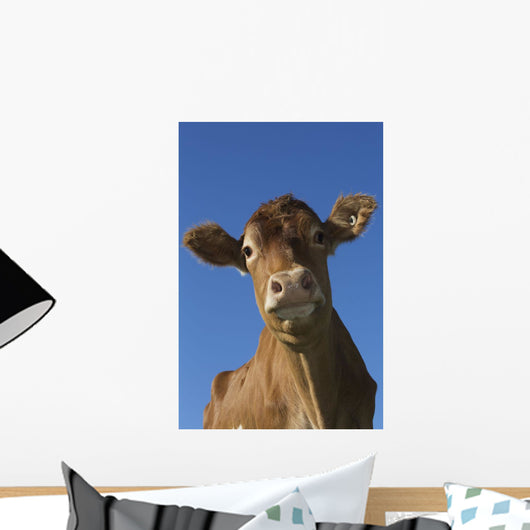 Guernsey Dairy Cow Wall Decal Design 2