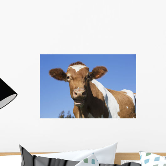 Guernsey Dairy Cow Wall Decal Design 1